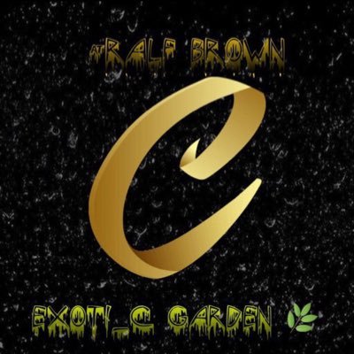 RalfBrown420's profile picture. Multi state license operator EST 2017 #RS #16 FS Line pheno #21 👻Ralf Hendricks brown