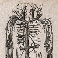 Leuven Centre for Health Humanities (@lchh_kuleuven) 's Twitter Profile Photo