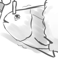 云魚さんのプロフィール画像