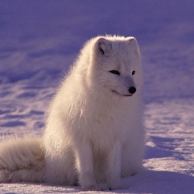 raioi01's profile picture. 高1
勉強仲間欲しい