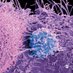Therapeutic Advances in Urology (@ta_urology) Twitter profile photo Therapeutic Advances in Urology (@ta_urology) Twitter profile photo