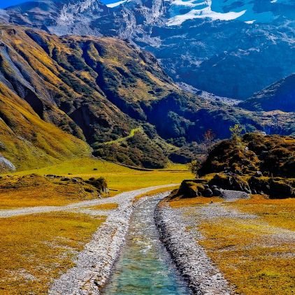 leonardlusweti's profile picture. 