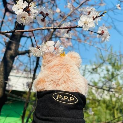 미키さんのプロフィール画像