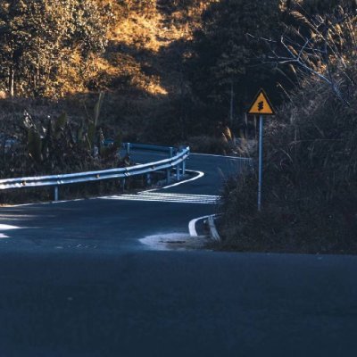 zhihezi0724's profile picture. 