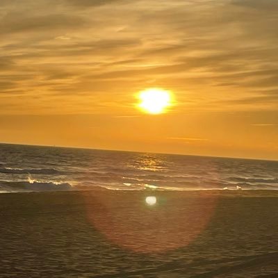 LaPreguntaSeria's profile picture. Hater en twitter. buena gente en la vida real.