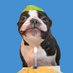 tobythegentleman (@toby_gentleman) Twitter profile photo tobythegentleman (@toby_gentleman) Twitter profile photo