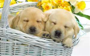 18karenjoi's profile picture. 