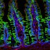 Parkos&Nusrat_Lab (@parkos_nusrat) Twitter profile photo Parkos&Nusrat_Lab (@parkos_nusrat) Twitter profile photo