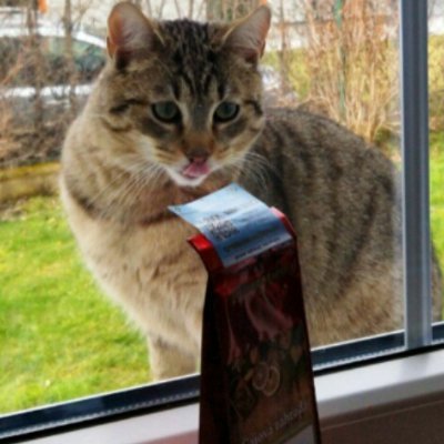 JanaKratochvlo7's profile picture. Milovnice kola a zumby, máma smečky, optimista.