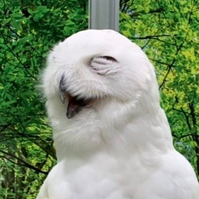 jyun2007101009's profile picture. 野球やるのも観るのも大好きです。  よろしくお願いします
47264542