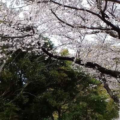 tomo16435550's profile picture. 千葉大法政経学部　２２B😄😄😄