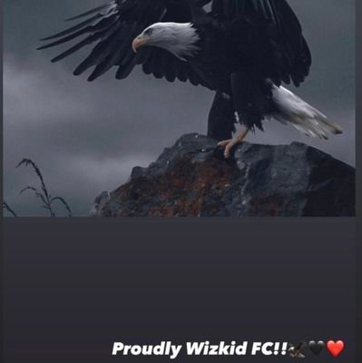 SodiqOlayiwol15's profile picture. Certified Professional Resume Writer