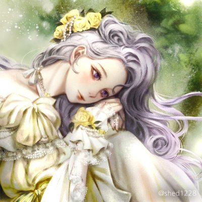 shedさんのプロフィール画像