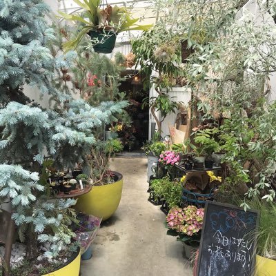 verrer_yu_'s profile picture. ‘98.ゆるくたのしくきむよんすん.