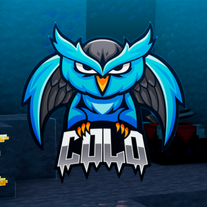 ColdNetworkUHC's profile picture. 