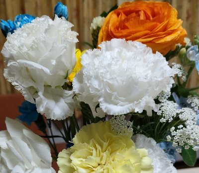 MATHducks7's profile picture. 中・高教員⇒４月から塾講師🌟/数学/YouTubeで算数・高校入試数学の問題を中心に動画を配信/登録者2000人突破✨感謝🙏/赤十字/国際人道法/人生訓【素心深考】/酒💕/