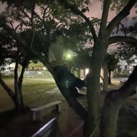 れむる (@remurudesu) 's Twitter Profile Photo