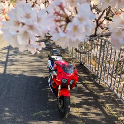 RVF400(NC35)/VTR1000SP1(SC45) 乗り物好きの若おじです。バイクと車と酒と音楽と。