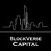 BlockVerse Capital (@BlockVerseCap) Twitter profile photo