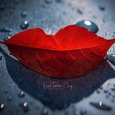 anoudalsubaie7's profile picture. هُنا بعض الإقتباسات،وبعض المشاعر🥀↴