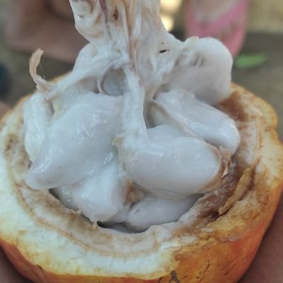 Oneiberluca98's profile picture. Cristo viene