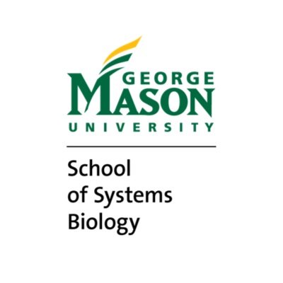 MasonSSB Profile