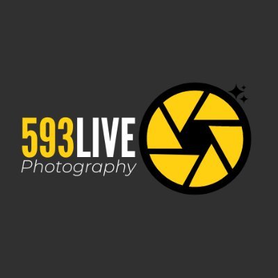 593live's profile picture. We Are 593Live a group of photographers who created a Nft collection of photos that we took in the Galapagos Islands