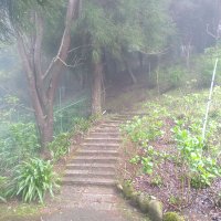 紅魚兒 (@wangsihong2) 's Twitter Profile