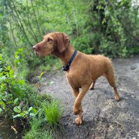 Kate C(@katecvizsla) 's Twitter Profile Photo