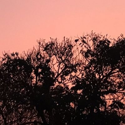 KruthiKruthi04's profile picture. What are you looking at??👀