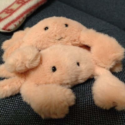 fuwa_kume_masa's profile picture. 人呼んで『カニの平蔵』

たまーにふらりと現れては、ﾌﾜｯﾌﾜなカニの「粂八」と「おまさ」の姿をTLに流してゆく…ただそれだけのアカウントです。