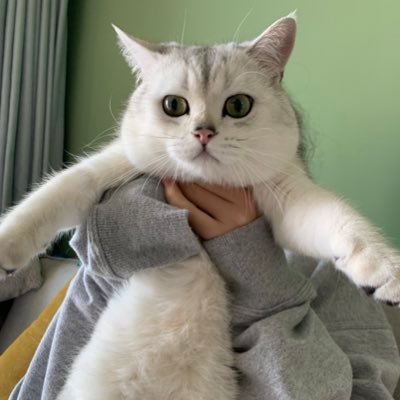 JeffreyBaker597's profile picture. makabaka~