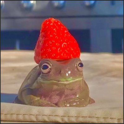 a_algorithmv's profile picture. 