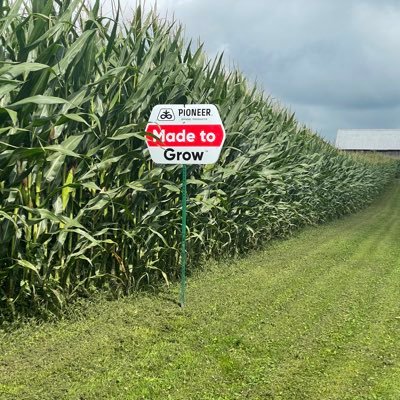 SellnSeed's profile picture. Pioneer Seed Sales Agency