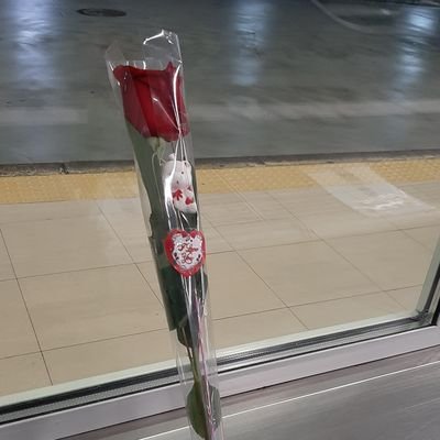 nurimig's profile picture. 