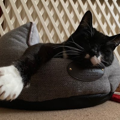 leocameron420's profile picture. vaporising and never combusting