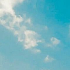 LailiNuraini6's profile picture. 