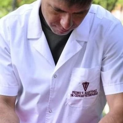 pedroma10757384's profile picture. 