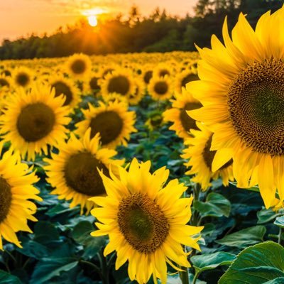 lessismore9989's profile picture. 