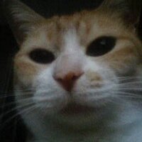 伊敷政英(Cocktailz) (@cocktailzjp) 's Twitter Profile Photo 伊敷政英(Cocktailz) (@cocktailzjp) 's Twitter Profile Photo