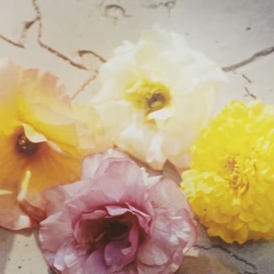 BI9B4N9's profile picture. 2011년 부터 빅뱅편 👑