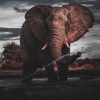 My Kariba (@mykariba) Twitter profile photo