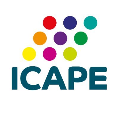 Aiming to produce an authoritative, ground-breaking contribution to the debate about the assessment system in primary schools.