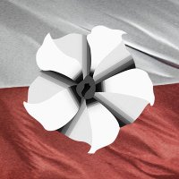 Nightflower Records (@nightflowerrec) 's Twitter Profile Photo Nightflower Records (@nightflowerrec) 's Twitter Profile Photo