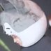 ًsarado. (@daimengal) Twitter profile photo ًsarado. (@daimengal) Twitter profile photo