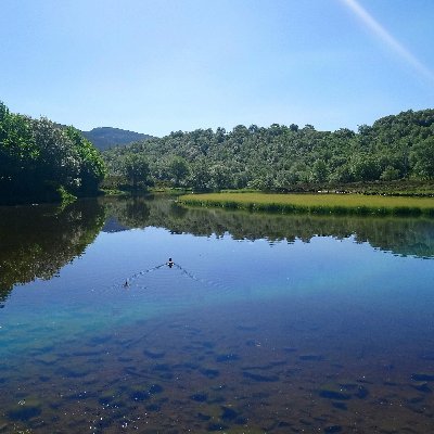 FearlessGaia's profile picture. gamer girl that on top of that loves reading and animals