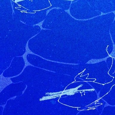 🌊さんのプロフィール画像