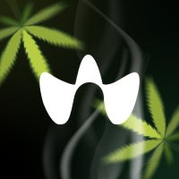 hazebot (@hazebot_io) 's Twitter Profile