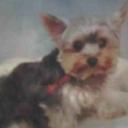 Joan Lucy Hall - @nov1944 - Twitter