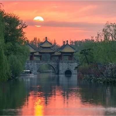 Addis_Chen's profile picture. 